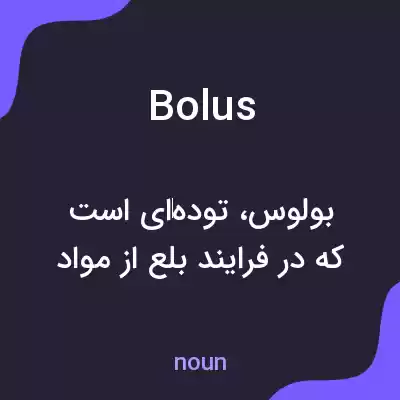 معنی bolus به فارسی معنی bolus به فارسی