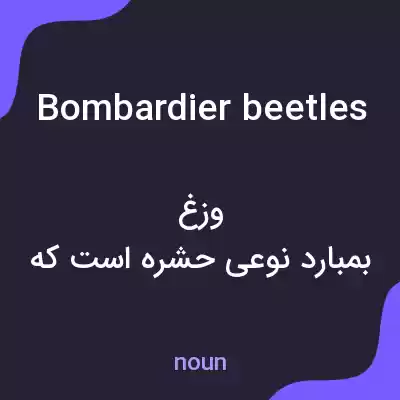 معنی bombardier beetles به فارسی معنی bombardier beetles به فارسی