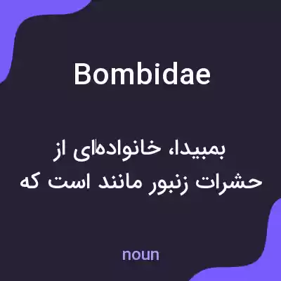 معنی bombidae به فارسی معنی bombidae به فارسی