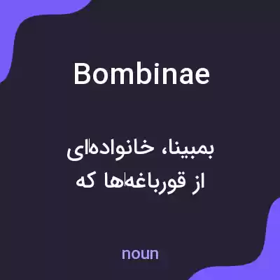 معنی bombinae به فارسی