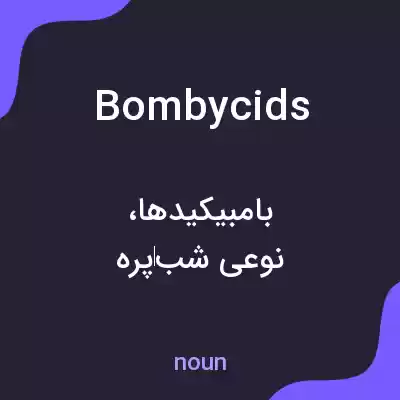 معنی bombycids به فارسی معنی bombycids به فارسی