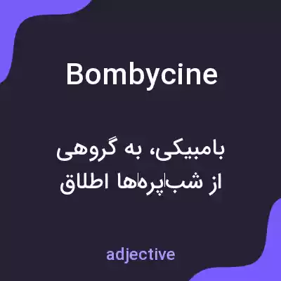معنی bombycine به فارسی معنی bombycine به فارسی