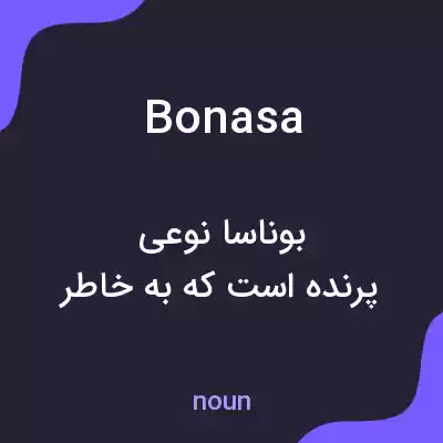 معنی bonasa به فارسی