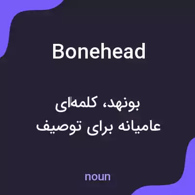 معنی bonehead به فارسی معنی bonehead به فارسی