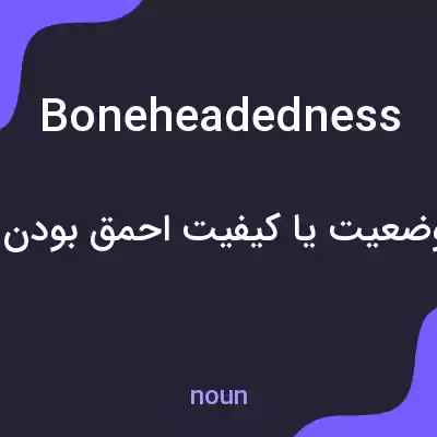 معنی boneheadedness به فارسی معنی boneheadedness به فارسی