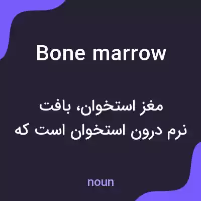 معنی bone marrow به فارسی معنی bone marrow به فارسی