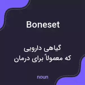 معنی boneset به فارسی معنی boneset به فارسی