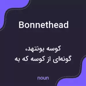 معنی bonnethead به فارسی معنی bonnethead به فارسی