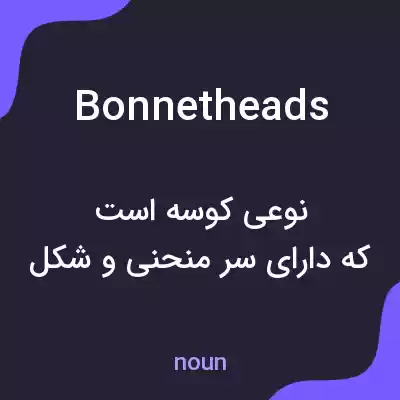 معنی bonnetheads به فارسی