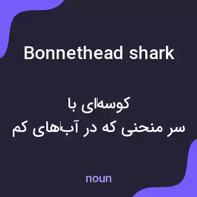 معنی bonnethead shark به فارسی معنی bonnethead shark به فارسی