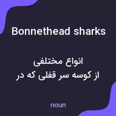 معنی bonnethead sharks به فارسی