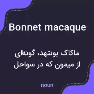 معنی bonnet macaque به فارسی معنی bonnet macaque به فارسی