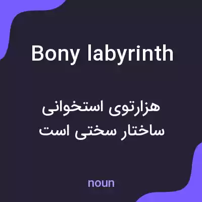 معنی bony labyrinth به فارسی معنی bony labyrinth به فارسی