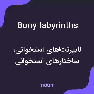 معنی bony labyrinths به فارسی
