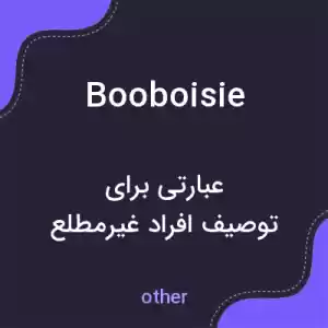 معنی booboisie به فارسی معنی booboisie به فارسی