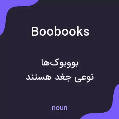 معنی boobooks به فارسی