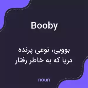 معنی booby به فارسی معنی booby به فارسی