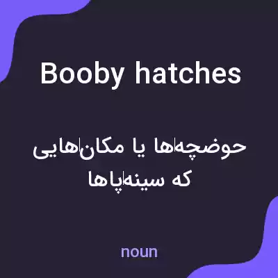 معنی booby hatches به فارسی معنی booby hatches به فارسی
