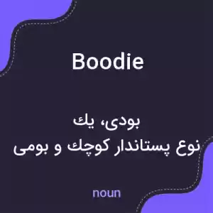 معنی boodie به فارسی معنی boodie به فارسی