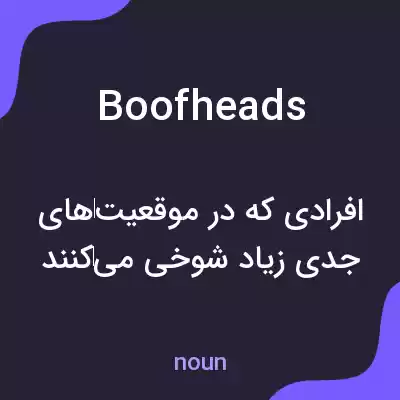 معنی boofheads به فارسی معنی boofheads به فارسی