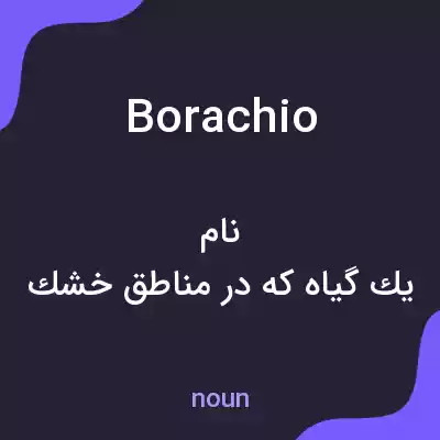 معنی borachio به فارسی معنی borachio به فارسی