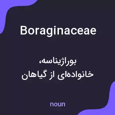 معنی boraginaceae به فارسی