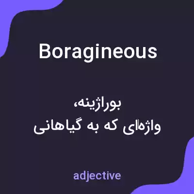 معنی boragineous به فارسی معنی boragineous به فارسی
