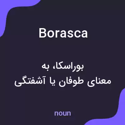 معنی borasca به فارسی معنی borasca به فارسی