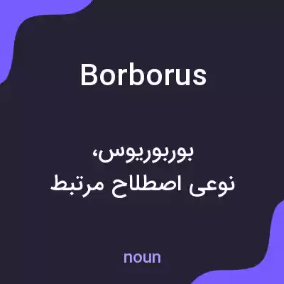 معنی borborus به فارسی معنی borborus به فارسی