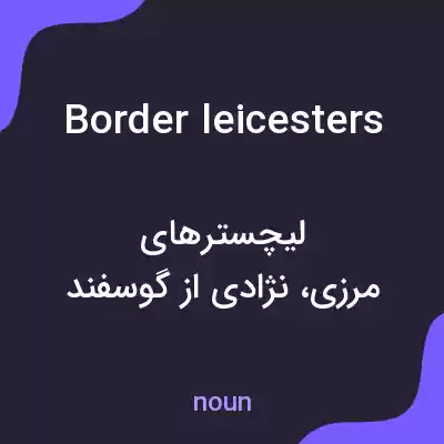 معنی border leicesters به فارسی معنی border leicesters به فارسی