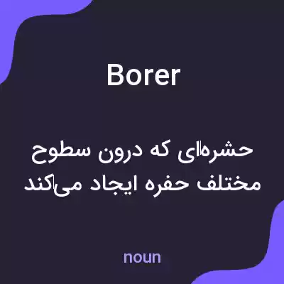 معنی borer به فارسی معنی borer به فارسی