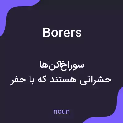 معنی borers به فارسی معنی borers به فارسی