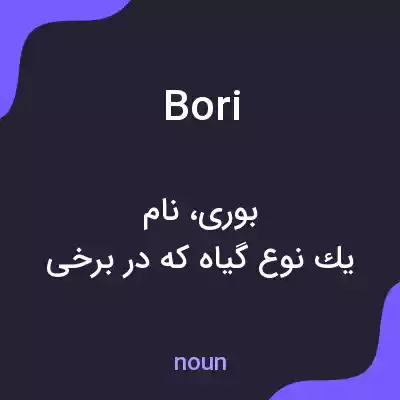 معنی bori به فارسی معنی bori به فارسی