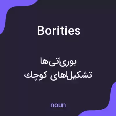 معنی borities به فارسی معنی borities به فارسی