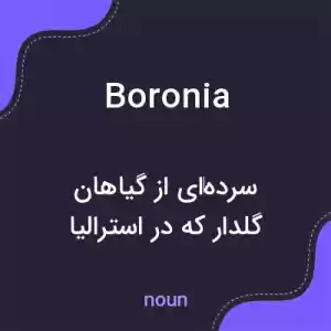 معنی boronia به فارسی معنی boronia به فارسی