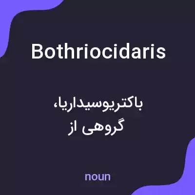 معنی bothriocidaris به فارسی معنی bothriocidaris به فارسی