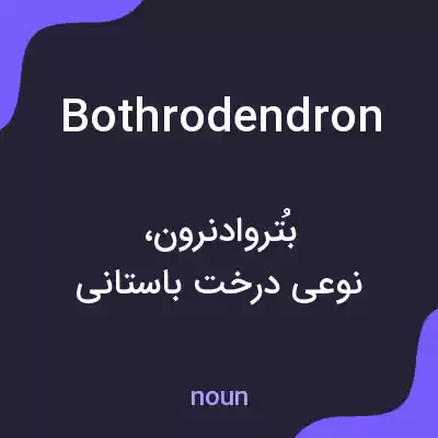 معنی bothrodendron به فارسی معنی bothrodendron به فارسی