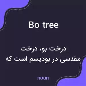 معنی bo tree به فارسی معنی bo tree به فارسی