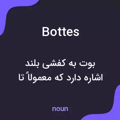معنی bottes به فارسی معنی bottes به فارسی
