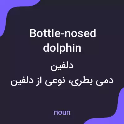 معنی bottle-nosed dolphin به فارسی