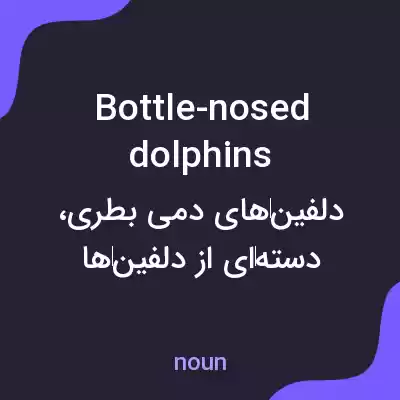 معنی bottle-nosed dolphins به فارسی معنی bottle-nosed dolphins به فارسی