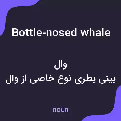 معنی bottle-nosed whale به فارسی معنی bottle-nosed whale به فارسی