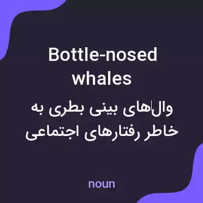 معنی bottle-nosed whales به فارسی معنی bottle-nosed whales به فارسی