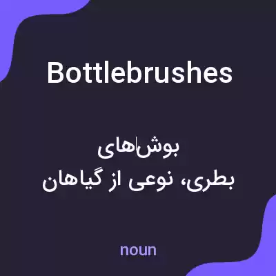 معنی bottlebrushes به فارسی معنی bottlebrushes به فارسی