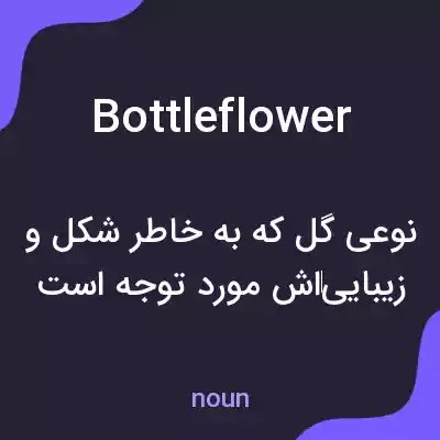 معنی bottleflower به فارسی