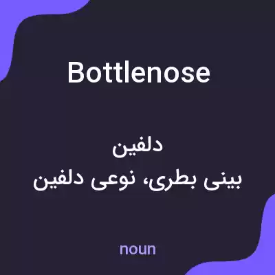 معنی bottlenose به فارسی معنی bottlenose به فارسی