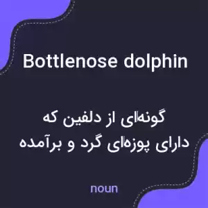 معنی bottlenose dolphin به فارسی معنی bottlenose dolphin به فارسی