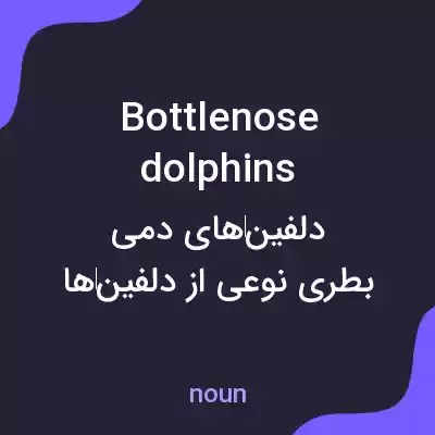 معنی bottlenose dolphins به فارسی معنی bottlenose dolphins به فارسی