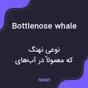 معنی bottlenose whale به فارسی معنی bottlenose whale به فارسی