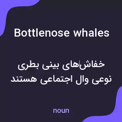 معنی bottlenose whales به فارسی